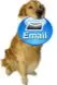 email us