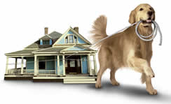 search for real estate